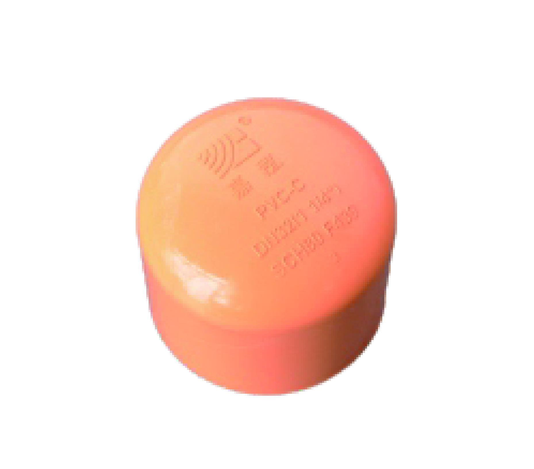 Phụ kiện ống CPVC - Nắp ống